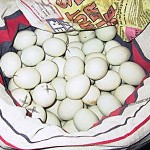 How to make Balut