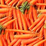 Growing Carrot