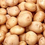 Growing Potato