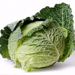 Cabbage Production