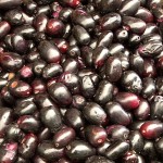 Java Plum or Duhat Production
