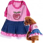 How to Make Homemade Clothing for Dogs