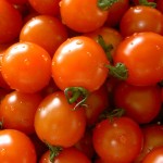 Tomato or Kamatis Production