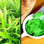 How to Make Pandan (Screwpine) Jam