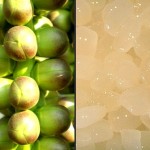 How to Make Preserved Sugar Palm or Kaong