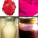 How to make Dragon Fruit Jam, Jelly and Puree