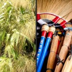 How to make Broom (Tiger Grass) or Walis Tambo