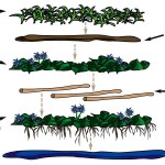 Floating Gardens