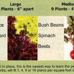 Square Foot Gardening