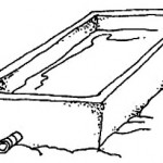 Freshwater or Rice Eel Culture