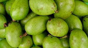 Green_mango