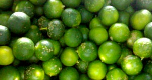 calamansi