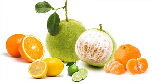 citrus_fruits