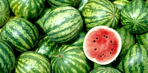 Watermelon