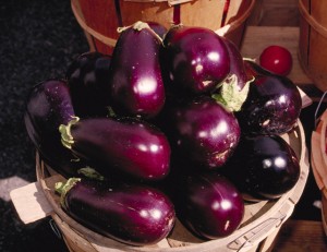 Eggplant Production
