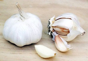 garlic