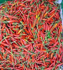 hot-chili