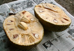 jack_fruit_opened