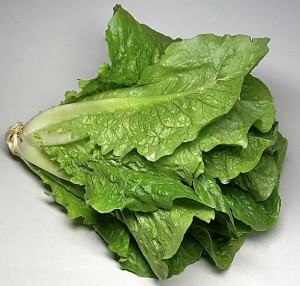 romaine-lettuce