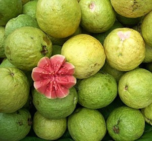 guava-fruits