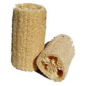 loofah-body-scub