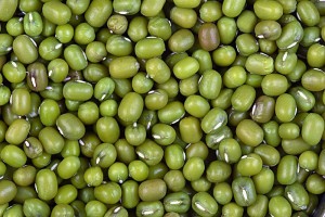 monggo-or-mungbean