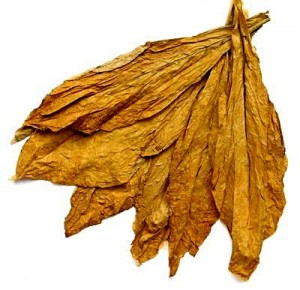 dried-tobacco