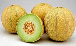 honeydew-melon