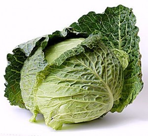 cabbage