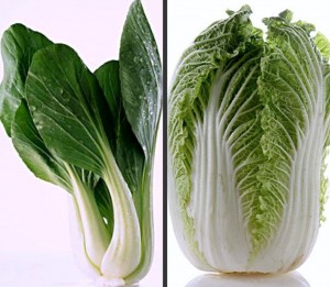 chinese-cabbage-or-pechay
