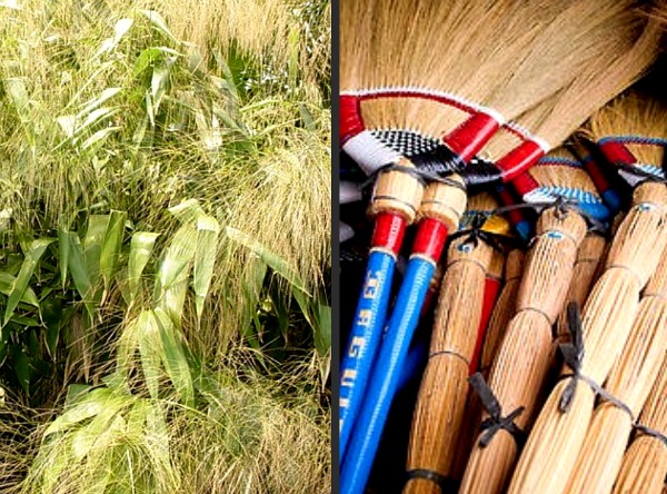 How to make Broom (Tiger Grass) or Walis Tambo