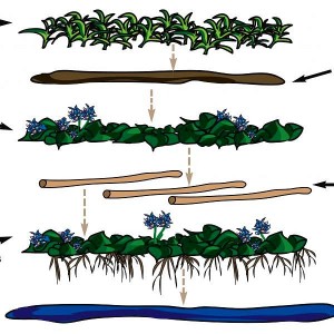 How to make Floating Gardens