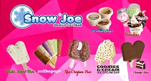 Snow Joe Ice Cream