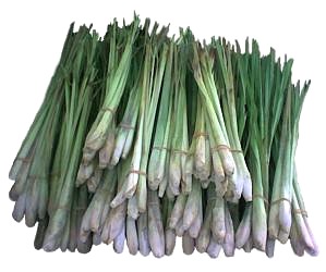 Lemon Grass or Tanglad Production