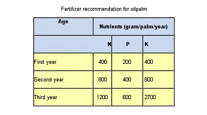 Oil Palm Production