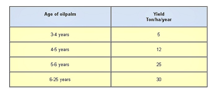 Oil Palm Production