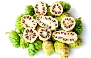 Noni Fruits Farming for Health Benefits