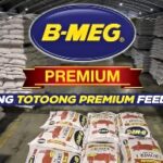 B-MEG Feeds Distributorships