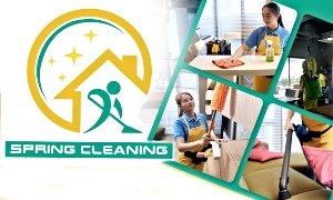 Pinoy Entrepreneur | Spring Cleaning Services