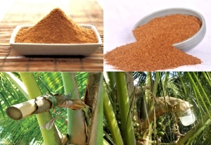 Coconut Sap Sugar Production