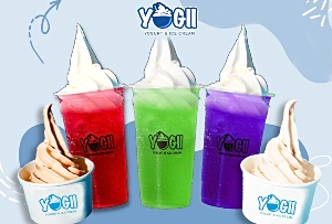 YOGII Yogurt and Ice Cream